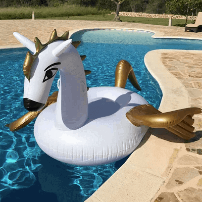 pegasus pegasus badedyr