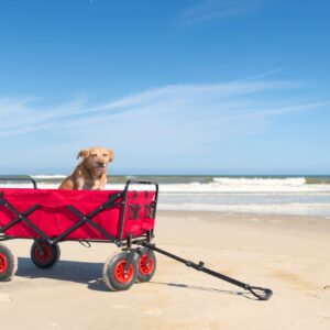 sammenklappelig trækvogn til stranden